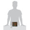 Sword Shield Lost Origin Elite Trainer Box Scale En 791x1024